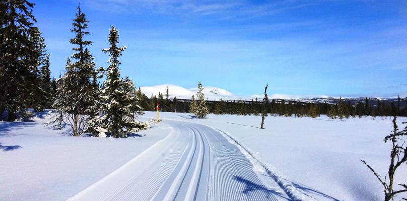 Skidspår